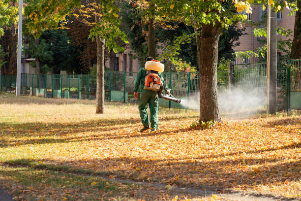 Best Wildlife Control Services  in Williston, SC
