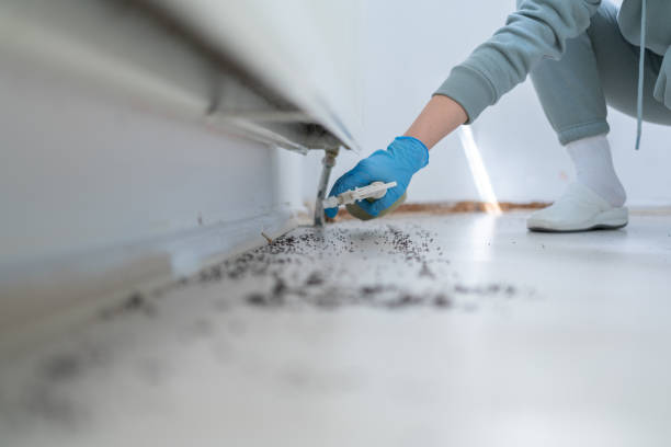 Best Cockroach Control Services  in Williston, SC
